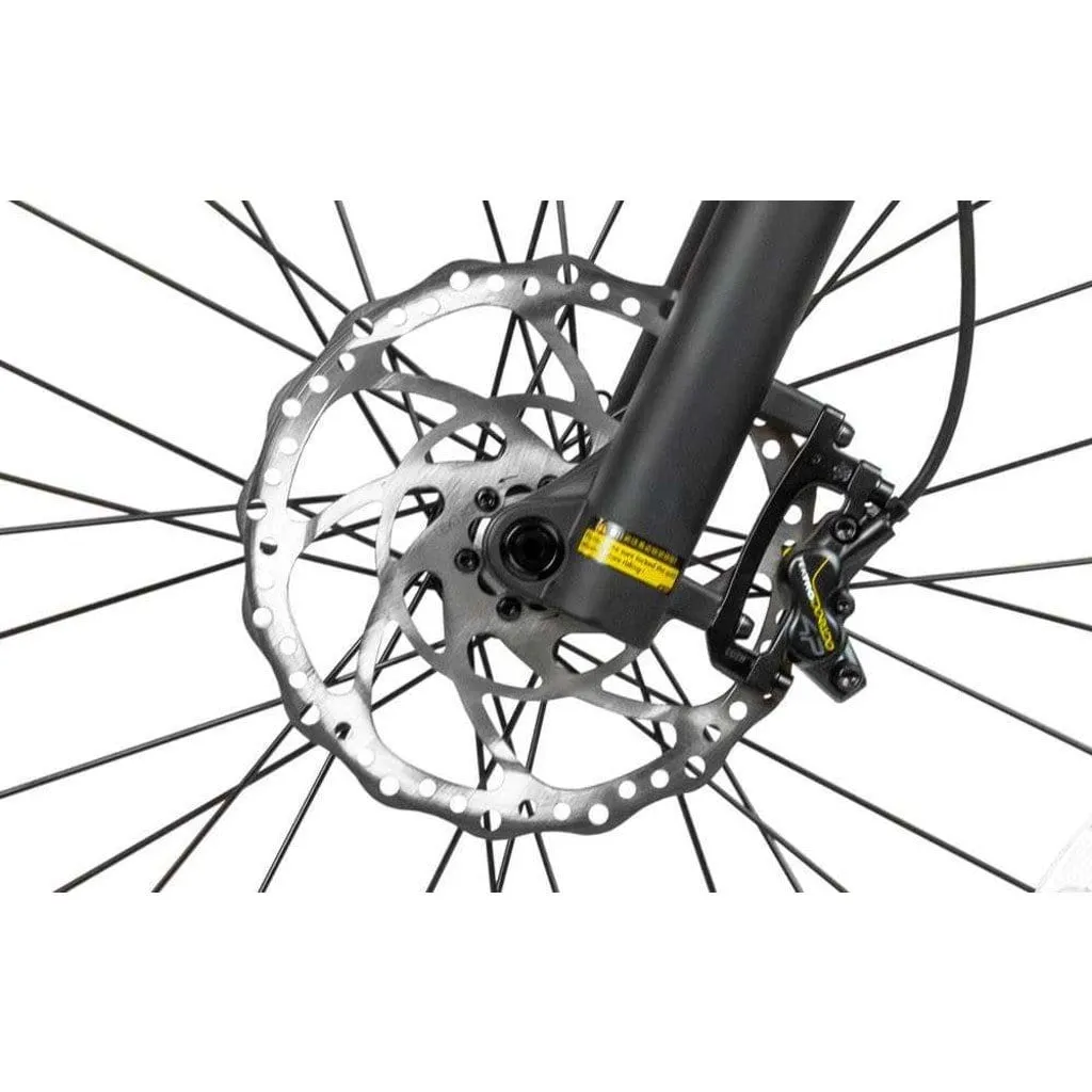 RAMBO The Rampage 1000W 48V Full Suspension Cruiser Electric Bike