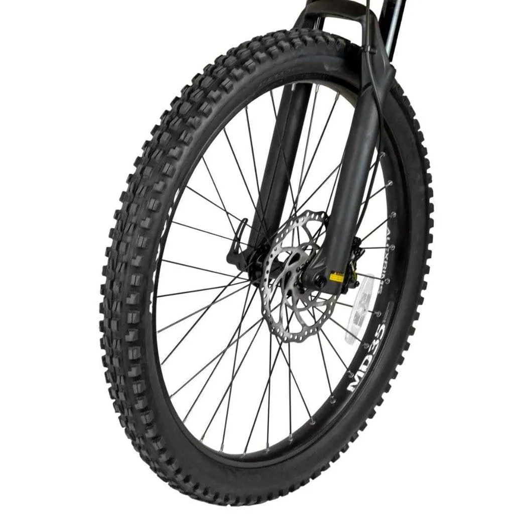 RAMBO The Rampage 1000W 48V Full Suspension Cruiser Electric Bike
